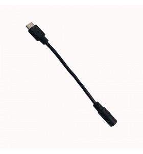 dc5.5*2.1 female to Type-c cable